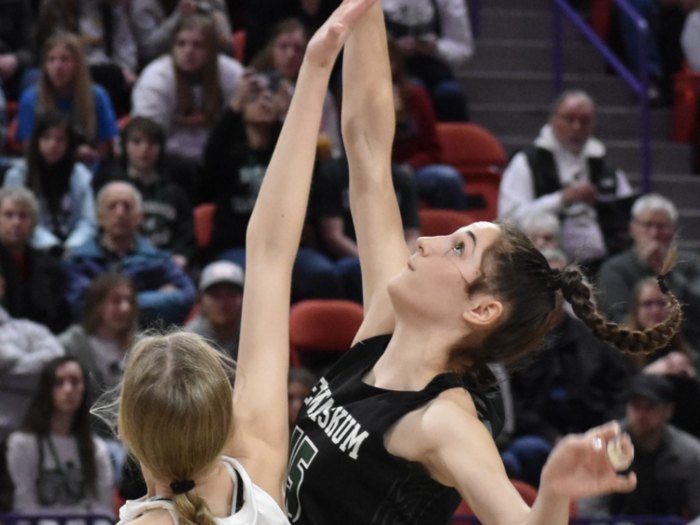 State Basketball 2023 State Basketball 2023