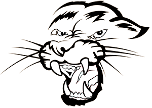 West Salem Panthers West Salem Panthers